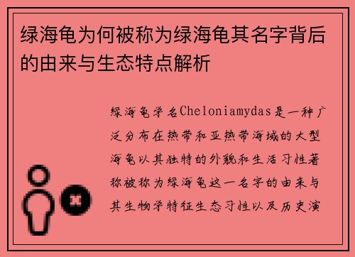 绿海龟为何被称为绿海龟其名字背后的由来与生态特点解析